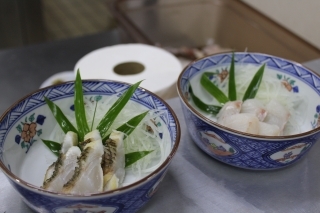 Sashimi