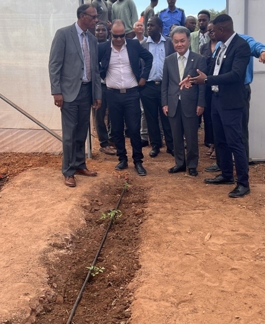 農業訓練校（温室）視察の様子